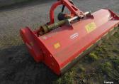 Maschio tigre 250