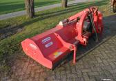 Maschio tigre 250