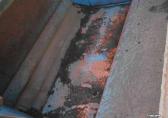 Imants bladveegmachine