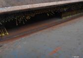 Imants bladveegmachine